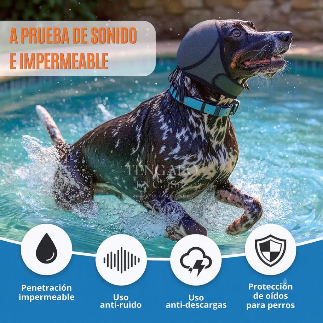 https://cdn.dropmagic.ai/medias/4dd23443-5d9a-42c7-b76b-19338160a98a.webp