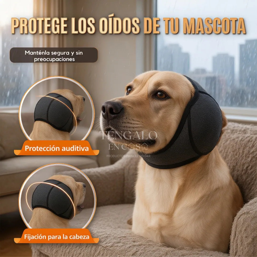 https://cdn.dropmagic.ai/medias/e619147a-5963-42cb-ad80-d8420626e26d.webp