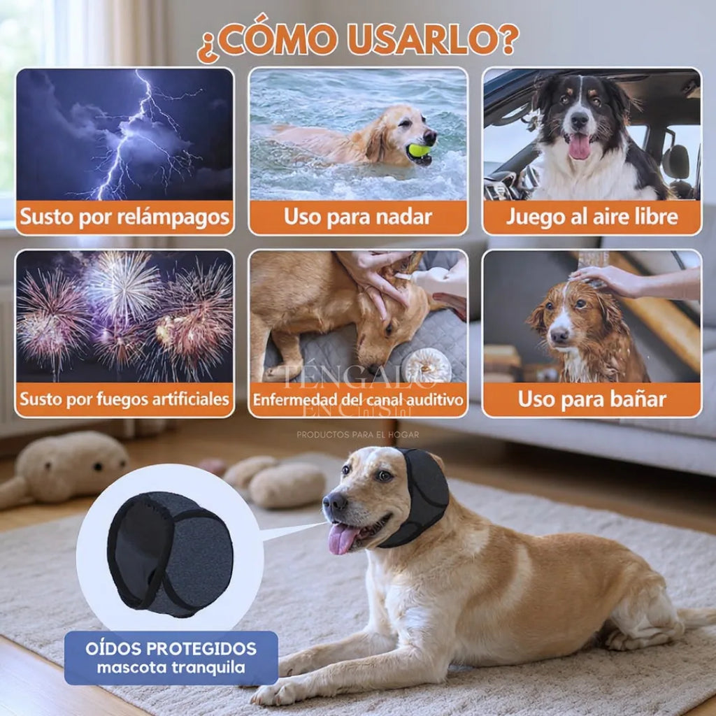 https://cdn.dropmagic.ai/medias/f2b30ef2-7217-4848-83c3-2833369fab45.webp